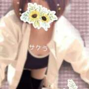 ヒメ日記 2025/10/23 11:16 投稿 サクラ ラブコレクション