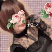 ヒメ日記 2025/10/25 09:01 投稿 サクラ ラブコレクション