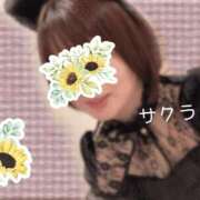 ヒメ日記 2025/10/25 15:46 投稿 サクラ ラブコレクション