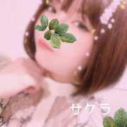 ヒメ日記 2025/10/26 08:16 投稿 サクラ ラブコレクション
