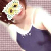 ヒメ日記 2025/10/26 08:31 投稿 サクラ ラブコレクション