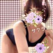 ヒメ日記 2025/10/26 10:01 投稿 サクラ ラブコレクション