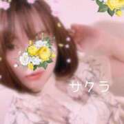 ヒメ日記 2025/11/11 05:46 投稿 サクラ ラブコレクション