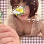 ヒメ日記 2025/11/11 08:46 投稿 サクラ ラブコレクション