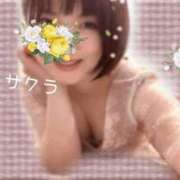 ヒメ日記 2025/11/11 16:01 投稿 サクラ ラブコレクション