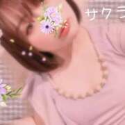 ヒメ日記 2025/11/14 07:46 投稿 サクラ ラブコレクション