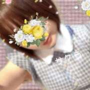 ヒメ日記 2025/11/14 15:46 投稿 サクラ ラブコレクション