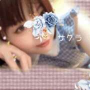 ヒメ日記 2025/11/14 16:01 投稿 サクラ ラブコレクション