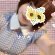 ヒメ日記 2025/11/14 23:16 投稿 サクラ ラブコレクション