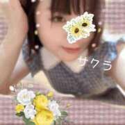 ヒメ日記 2025/11/14 23:31 投稿 サクラ ラブコレクション