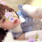 ヒメ日記 2025/11/14 23:46 投稿 サクラ ラブコレクション