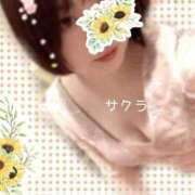 ヒメ日記 2025/11/18 14:46 投稿 サクラ ラブコレクション