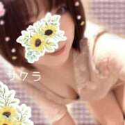 ヒメ日記 2025/11/19 05:46 投稿 サクラ ラブコレクション