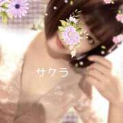 ヒメ日記 2025/11/19 09:46 投稿 サクラ ラブコレクション