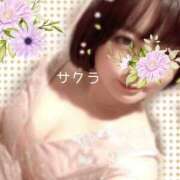 ヒメ日記 2025/11/19 15:46 投稿 サクラ ラブコレクション