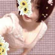 ヒメ日記 2025/11/19 16:01 投稿 サクラ ラブコレクション