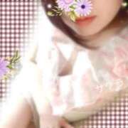 ヒメ日記 2025/11/25 07:46 投稿 サクラ ラブコレクション