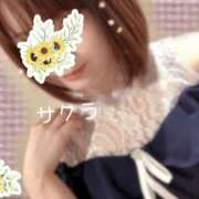 ヒメ日記 2025/11/25 10:01 投稿 サクラ ラブコレクション