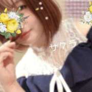 ヒメ日記 2025/11/25 13:01 投稿 サクラ ラブコレクション