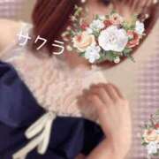 ヒメ日記 2025/11/27 05:46 投稿 サクラ ラブコレクション