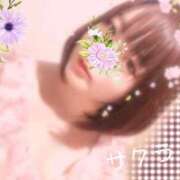 ヒメ日記 2025/11/27 12:46 投稿 サクラ ラブコレクション