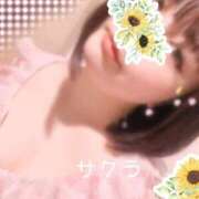 ヒメ日記 2025/11/27 13:16 投稿 サクラ ラブコレクション