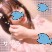 ヒメ日記 2025/11/27 22:01 投稿 サクラ ラブコレクション