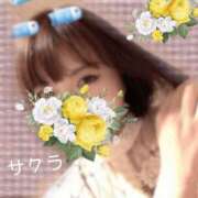 ヒメ日記 2025/11/28 18:46 投稿 サクラ ラブコレクション