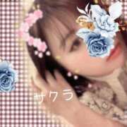 ヒメ日記 2025/11/29 06:16 投稿 サクラ ラブコレクション