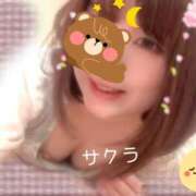 ヒメ日記 2025/11/29 08:46 投稿 サクラ ラブコレクション