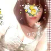 ヒメ日記 2025/11/29 16:46 投稿 サクラ ラブコレクション