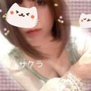 ヒメ日記 2025/11/30 05:46 投稿 サクラ ラブコレクション