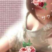 ヒメ日記 2025/11/30 08:31 投稿 サクラ ラブコレクション