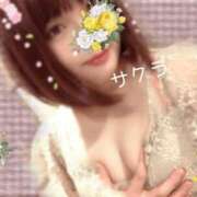 ヒメ日記 2025/11/30 14:31 投稿 サクラ ラブコレクション