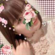 ヒメ日記 2025/12/11 05:46 投稿 サクラ ラブコレクション