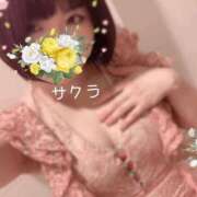 ヒメ日記 2025/12/11 10:46 投稿 サクラ ラブコレクション