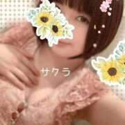 ヒメ日記 2025/12/11 12:46 投稿 サクラ ラブコレクション