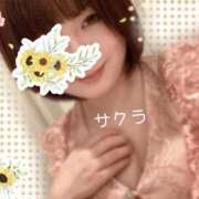 ヒメ日記 2025/12/11 15:46 投稿 サクラ ラブコレクション