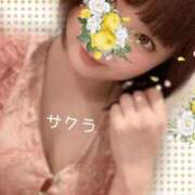 ヒメ日記 2025/12/11 19:31 投稿 サクラ ラブコレクション