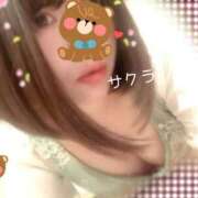 ヒメ日記 2025/12/12 05:46 投稿 サクラ ラブコレクション