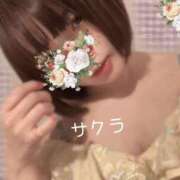 ヒメ日記 2025/12/17 17:01 投稿 サクラ ラブコレクション