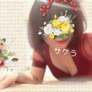 ヒメ日記 2025/12/21 14:16 投稿 サクラ ラブコレクション