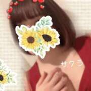 ヒメ日記 2025/12/21 14:31 投稿 サクラ ラブコレクション