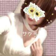 ヒメ日記 2025/12/23 08:46 投稿 サクラ ラブコレクション