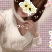 サクラ お礼?15:00〜Sさん ラブコレクション