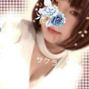 サクラ お礼?16:25〜Yさん ラブコレクション