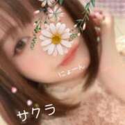 サクラ ? ラブコレクション