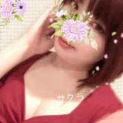 ヒメ日記 2025/12/24 21:46 投稿 サクラ ラブコレクション