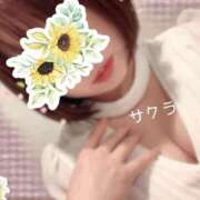 ヒメ日記 2025/12/25 08:16 投稿 サクラ ラブコレクション