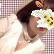 ヒメ日記 2025/12/25 11:01 投稿 サクラ ラブコレクション